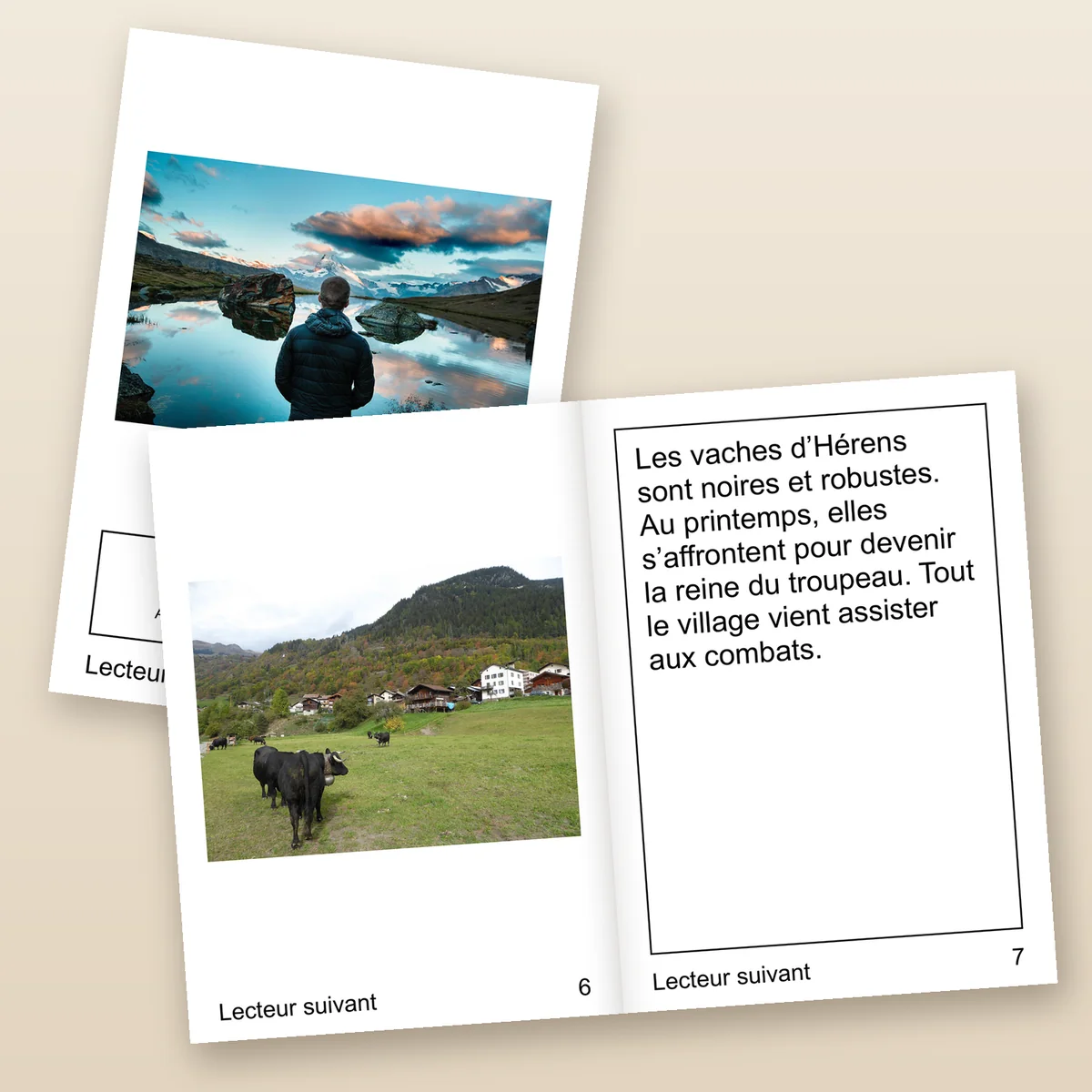 Un livret imprimé posé sur sa couverture, ouvert sur la double page des vaches d’Hérens : la photo à gauche, le texte en gros caractères à droite.