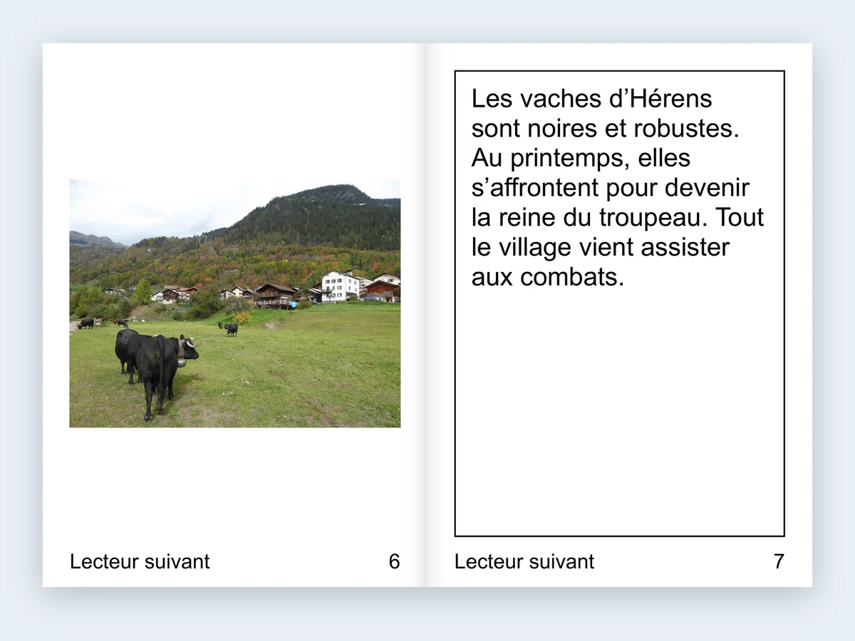 Une feuille de livret A3 imprimée, pliée au milieu : une photo de vaches d’Hérens et son texte en gros caractères.